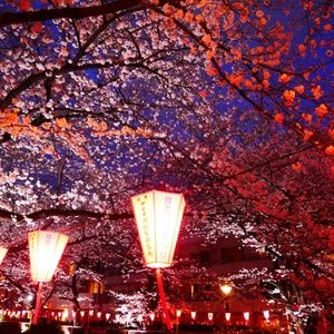 Meet your Posher, Danika